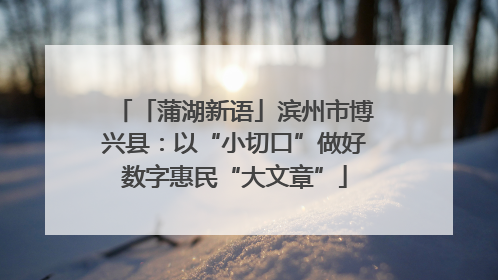 「蒲湖新语」滨州市博兴县：以“小切口”做好数字惠民“大文章”